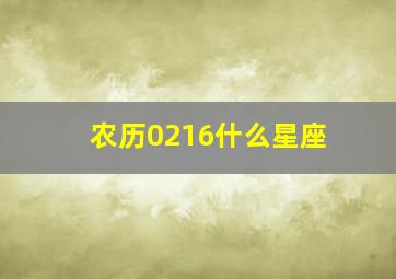 农历0216什么星座