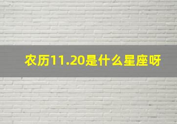 农历11.20是什么星座呀