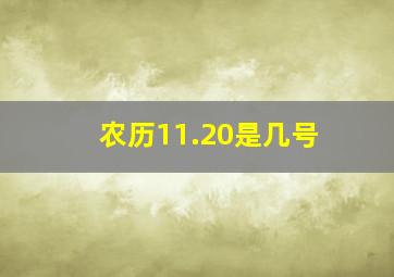 农历11.20是几号