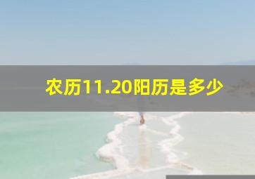 农历11.20阳历是多少