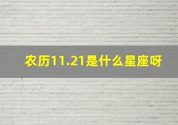 农历11.21是什么星座呀