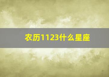 农历1123什么星座