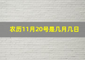 农历11月20号是几月几日