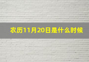 农历11月20日是什么时候