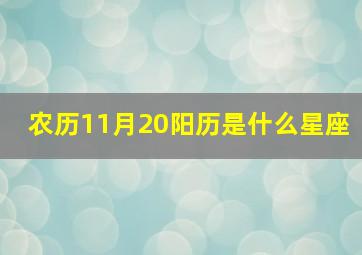 农历11月20阳历是什么星座