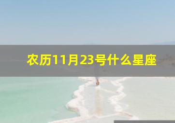 农历11月23号什么星座