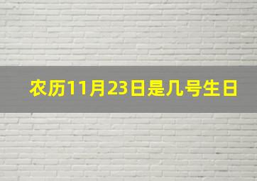 农历11月23日是几号生日