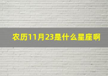 农历11月23是什么星座啊