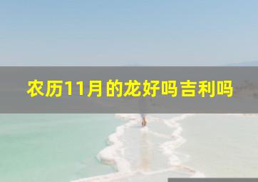 农历11月的龙好吗吉利吗