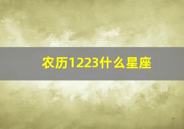 农历1223什么星座