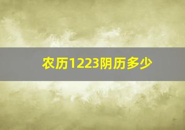 农历1223阴历多少