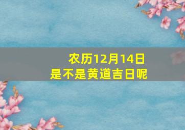 农历12月14日是不是黄道吉日呢