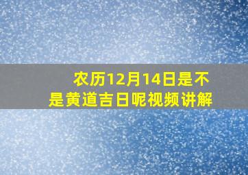 农历12月14日是不是黄道吉日呢视频讲解