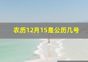 农历12月15是公历几号