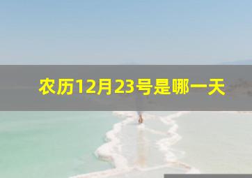 农历12月23号是哪一天