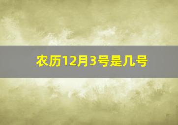 农历12月3号是几号