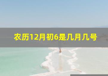 农历12月初6是几月几号