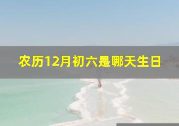 农历12月初六是哪天生日