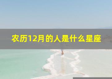 农历12月的人是什么星座