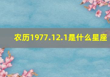 农历1977.12.1是什么星座