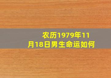 农历1979年11月18日男生命运如何