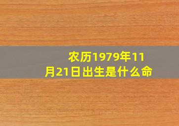 农历1979年11月21日出生是什么命