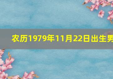 农历1979年11月22日出生男