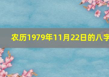 农历1979年11月22日的八字