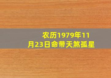 农历1979年11月23日命带天煞孤星