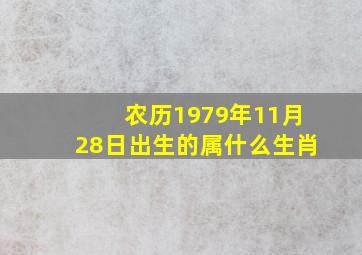 农历1979年11月28日出生的属什么生肖