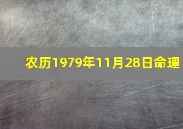 农历1979年11月28日命理