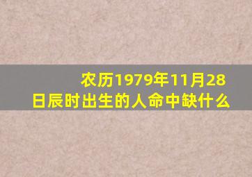 农历1979年11月28日辰时出生的人命中缺什么