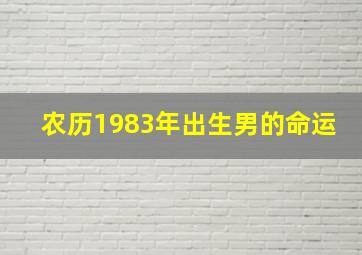 农历1983年出生男的命运