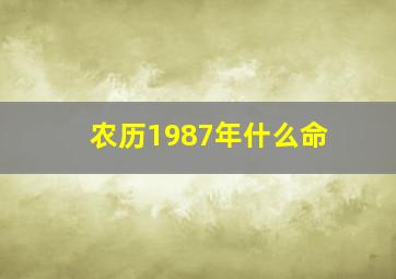 农历1987年什么命