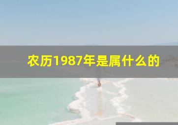 农历1987年是属什么的