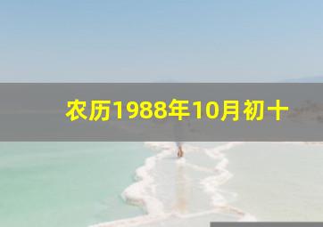 农历1988年10月初十