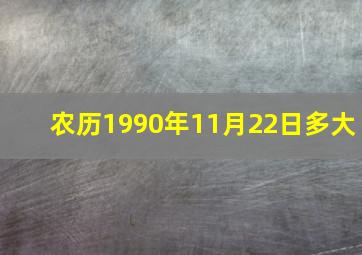 农历1990年11月22日多大