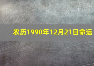 农历1990年12月21日命运