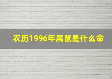 农历1996年属鼠是什么命