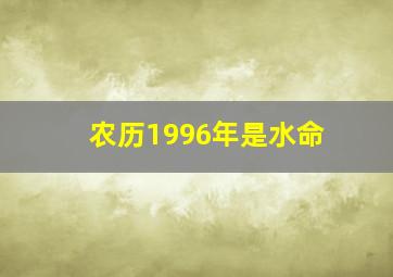 农历1996年是水命