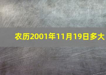 农历2001年11月19日多大