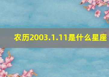 农历2003.1.11是什么星座