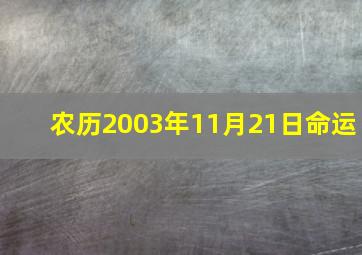 农历2003年11月21日命运