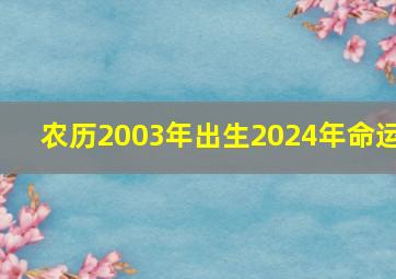 农历2003年出生2024年命运