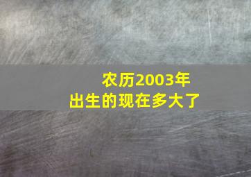 农历2003年出生的现在多大了