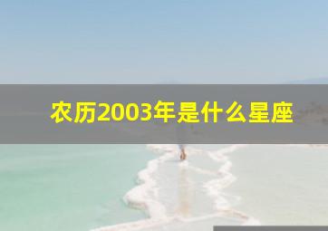 农历2003年是什么星座