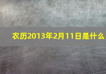 农历2013年2月11日是什么