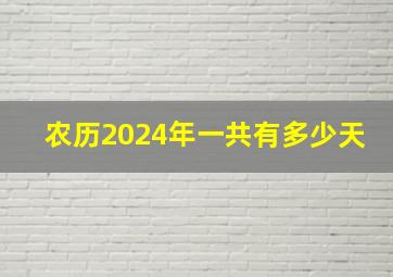 农历2024年一共有多少天