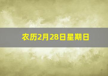 农历2月28日星期日