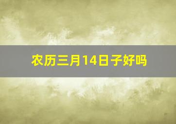 农历三月14日子好吗